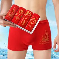 4 dress Ben year mens underwear mens flat corner pants head youth mid-waist breathable comfortable red four-corner underpants male