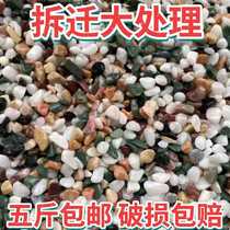 Fish tank colorful stone paving bottom Natural pebbles landscaping multi-meat potted plant pavement decoration fish tank color stone bottom sand floor
