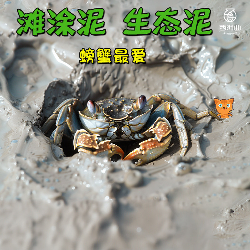 鱼缸辣椒蟹生态泥测评：这滩涂泥真能养出“红辣蟹”？25年养蟹老手来实测-旅游-淘宝好物网