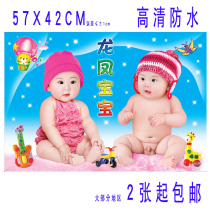 Baby poster photo Dragon and Phoenix baby pictorial cute beautiful baby pregnant woman preparation pregnancy fetal education big picture wall sticker