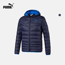 PUMA Puma official man with a hat down to suit ACTIVE 600590350