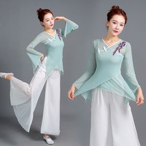 Aerobics classical dance clothes womens gauze clothes practice clothes folk dance clothes Chinese dance elegant