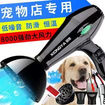 Pet Hair Dryer Big Mini Dog Special Electric Blow High Power Lahair Integrated Dog Bath Blowing Fur Blowing Machine