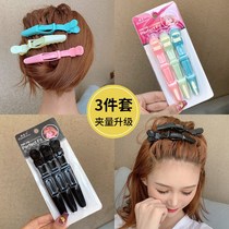Hairdressing Special Broken Hair Styling Clips Liu Haibian Clip Partition Positioning Large Rear Brain Spoon Hairspoon Hair Clip Crocodile Collet Accessories