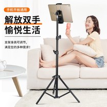 (Xinjiang) tablet tripod sloth mobile phone holder network red anchor live selfie-photography