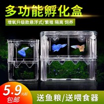 Peacock Fish Breeding Box Hatchbox Double self floating young fish egg incubators House Fighting Fish Isolation box Special Number