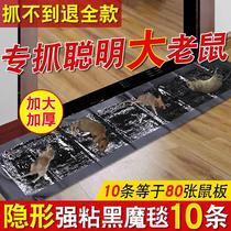Sticky mouse board strong glue big mouse household Wang Zhongwang mouse magic medicine once you smell it you will die in three steps