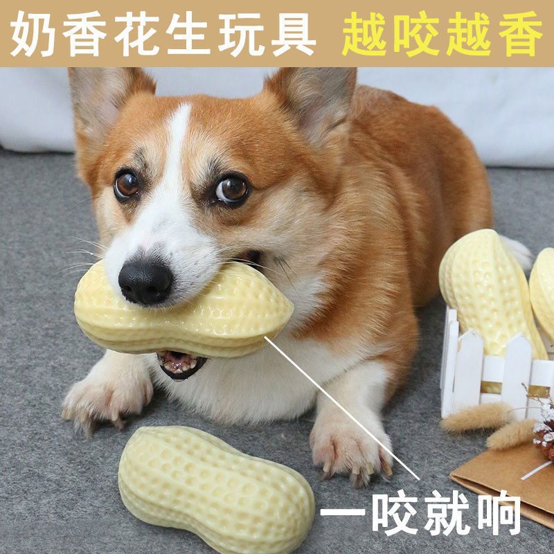 Pet dog voice toy, enamel, peanut, a wonderful tool for relieving boredom, molars, bite resistant corgi wood dog, small dog toy