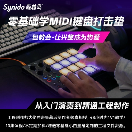 Synido Forest Island Midi Cheeboard Crackdowd на Pushion Professional Wecysters для преподавания 10 секций и 0 основных курсов расширенного мастерства