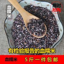 Blood sticky rice Northeast blood sticky rice black glutinous rice purple glutinous rice rice farmers coarse grain 8-treasure porridge 5 catties