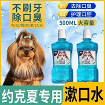 Yorkshire dedicated dental scale edible dog mouthwash to remove foul odor for dental calculus to drink pets besides taint