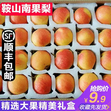 南果梨一箱高級 果物 - 果物