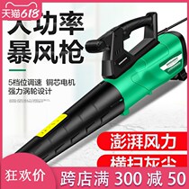Apply to Menett reg hair dryer high power blower industry strong storm blower dust and dust and dust