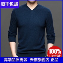 Cashmere sweater mens V-neck thin section 100 pure cashmere Ordos middle-aged and young high-end brand mens sweater
