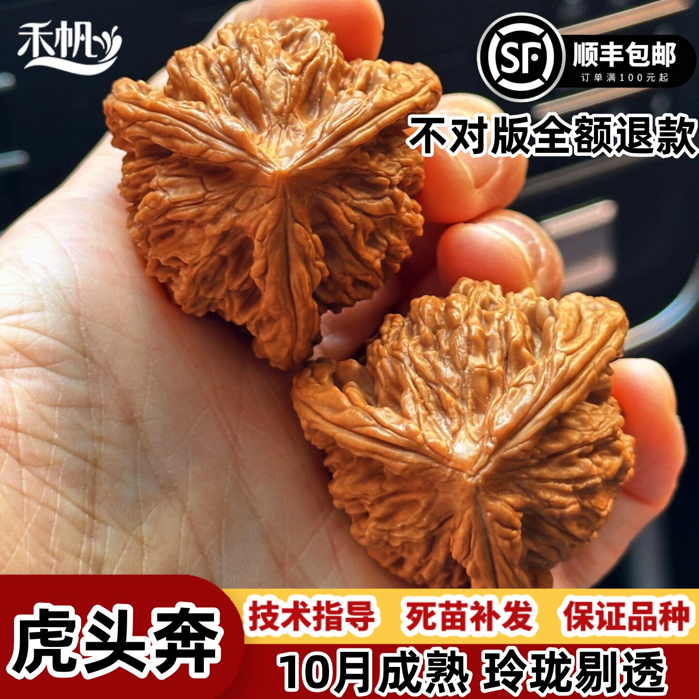 正奔三棱文玩核桃-正奔三棱文玩核桃促销价格、正奔三棱文玩核桃品牌- 淘宝