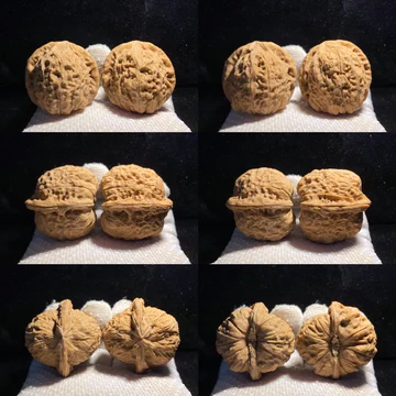 文玩核桃南瓜墩-文玩核桃南瓜墩促销价格、文玩核桃南瓜墩品牌- 淘宝