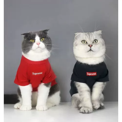 Wujian Fashion Brand Internet Celetrity Cat Anti-Falling Sweater для британских коротких кошек Специальная осень и зима тонкая бархатная летняя одежда для домашних животных