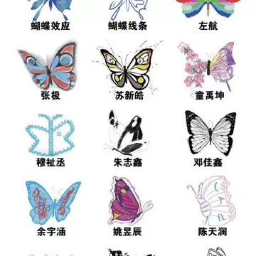 朱志鑫蝴蝶效应-朱志鑫蝴蝶效应促销价格、朱志鑫蝴蝶效应品牌- 淘宝