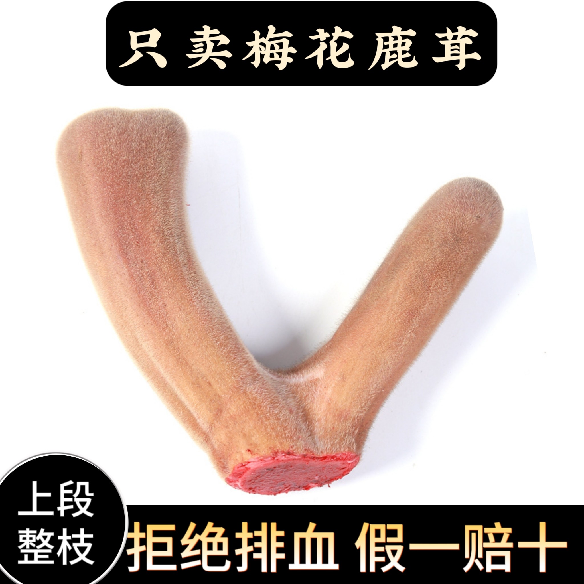 鹿茸角-鹿茸角促销价格、鹿茸角品牌- 淘宝