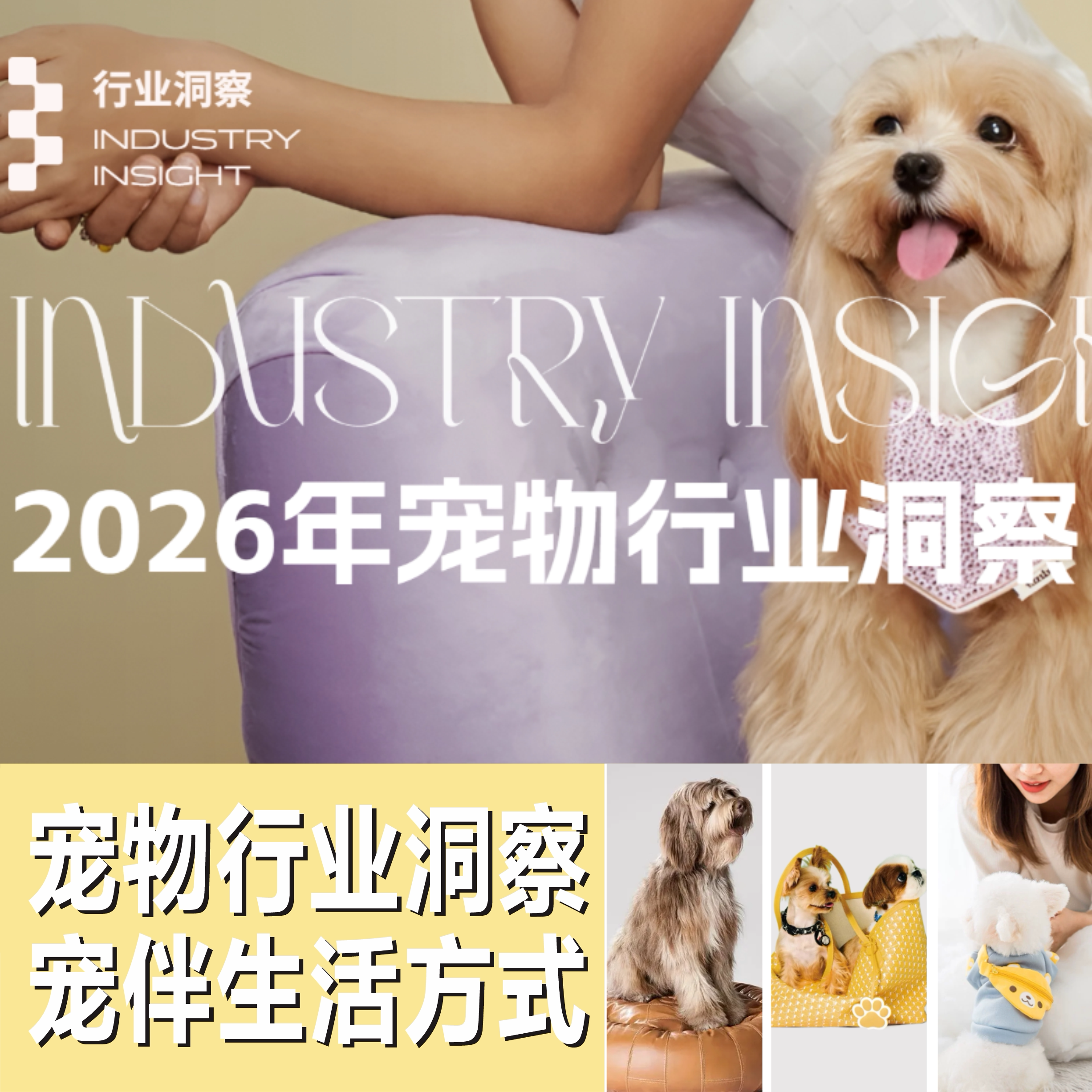 宠物市场未来趋势解读🚀 | 2026宠物行业洞察📚-宠物-淘宝好物网