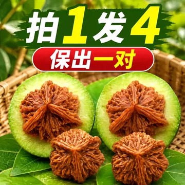 文玩核桃对-文玩核桃对促销价格、文玩核桃对品牌- 淘宝