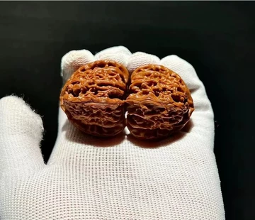 三角白狮子核桃-三角白狮子核桃促销价格、三角白狮子核桃品牌- 淘宝