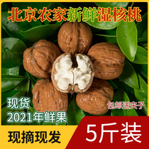 2021 spot Beijing fresh walnut thin skin fresh hand peeled walnut Tender fragrance wet walnut green skin pregnant woman birth tender nucleus