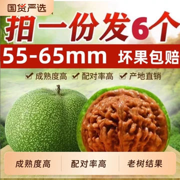 48蛤蟆头 クルミ文玩核桃 48蛤蟆头 クルミ文玩核桃 48蛤蟆头 クルミ文玩核桃 蛤蟆核桃