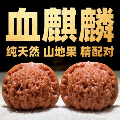 セール中　血麒麟核桃 極上逸品 文玩核桃血麒麟精选和文玩核桃血麒麟品牌价格与图片-淘宝商品网
