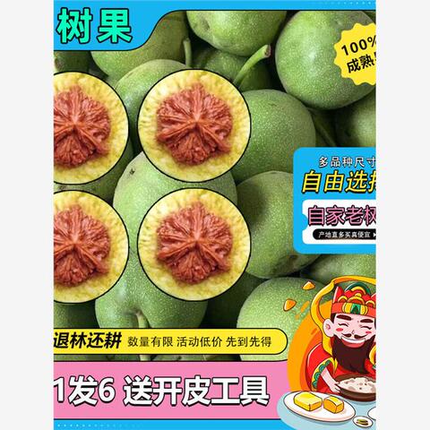 文玩核桃血麒麟精选和文玩核桃血麒麟品牌价格与图片-淘宝商品网