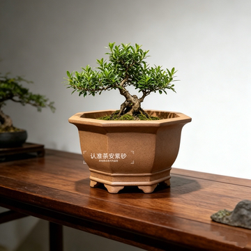 八方紫砂花盆-八方紫砂花盆促销价格、八方紫砂花盆品牌- 淘宝