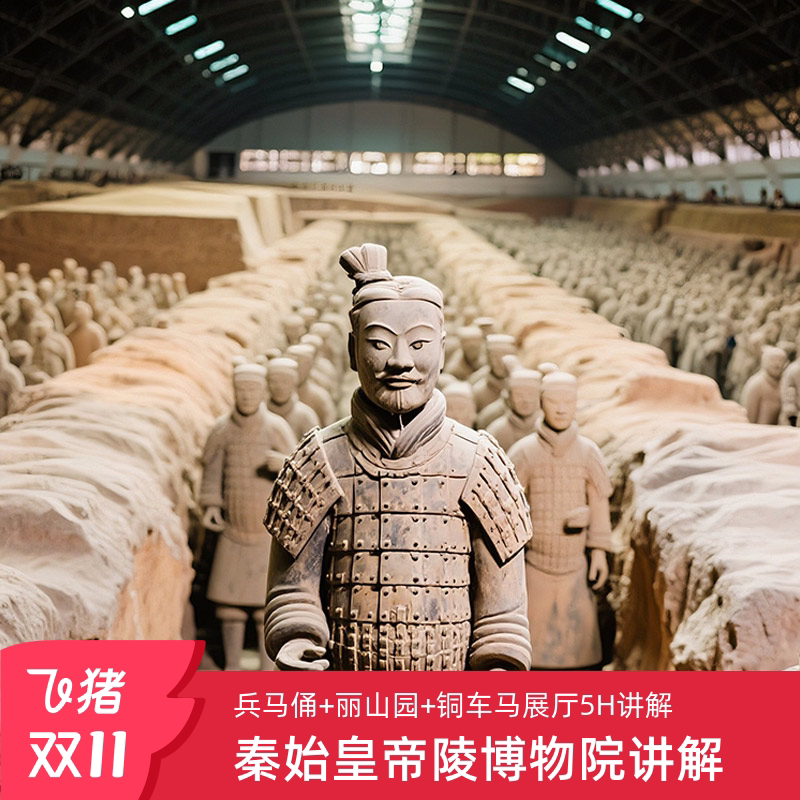 探秘秦始皇帝陵博物院(兵马俑+丽山园+铜车马展厅),一场文化盛宴不容错过 🏰🏛️-旅游-淘宝好物网