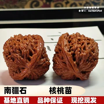 铁核桃文玩核桃-铁核桃文玩核桃促销价格、铁核桃文玩核桃品牌- 淘宝