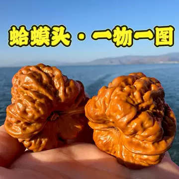 48蛤蟆头 クルミ文玩核桃 48蛤蟆头 クルミ文玩核桃 桃核手串】价格_