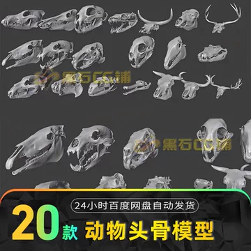 动物骨头模型-动物骨头模型促销价格、动物骨头模型品牌- 淘宝