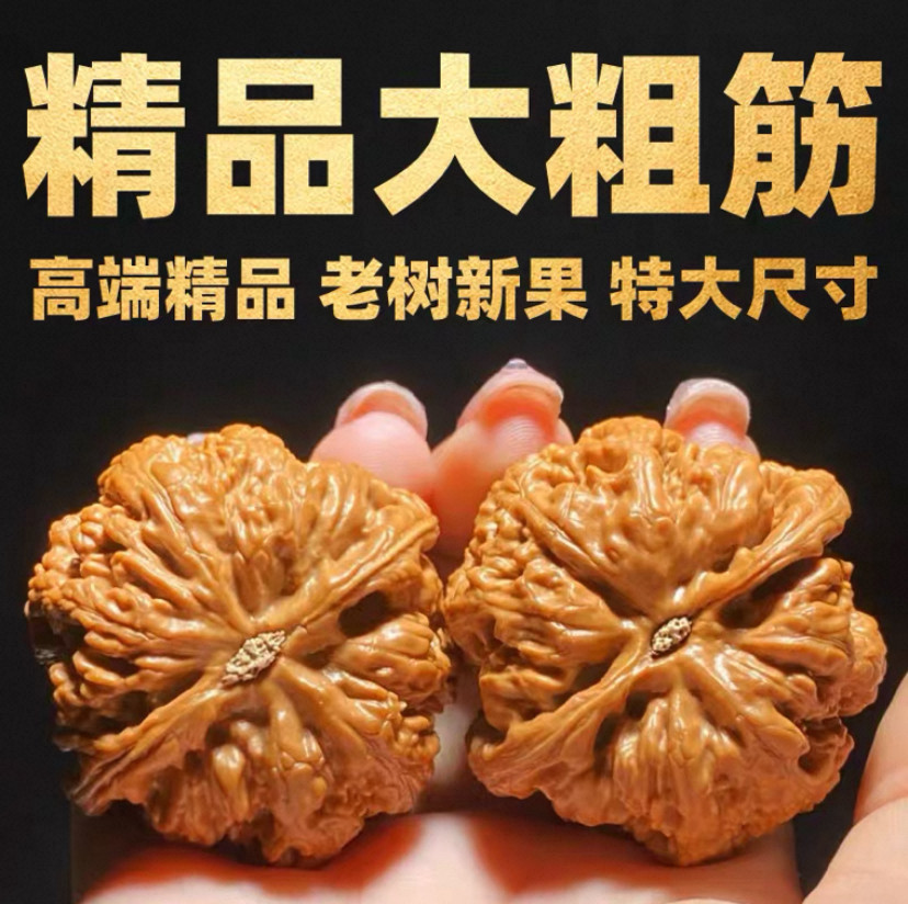 文玩堂：粗筋・ティラノサウルス文玩胡桃（无修整）A级 平谷大粗筋文玩核桃-平谷大粗筋文玩核桃促销价格、平谷大粗筋文玩核桃