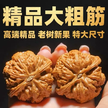 文玩核桃の銘品「大粗筋」 大粗筋文玩核桃-大粗筋文玩核桃促销价格、大粗筋文玩核桃品牌- 淘宝