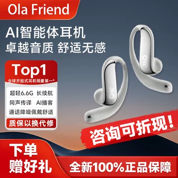 豆包AI智能体耳机-豆包AI智能体耳机促销价格、豆包AI智能体耳机品牌- 淘宝