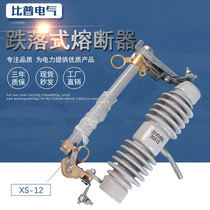 10-35KV dropout fuse RW10 RW12-15KV outdoor high voltage ceramic dropout switch insurance