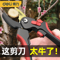 Daili gardening scissors pruning shears Fruit tree pruning branches scissors flower scissors garden repair flower scissors