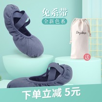 Dance shoes Womens soft-soled shoes for teachers Classical Ballet Cat Claw camel professional Chinese dance shoes summer