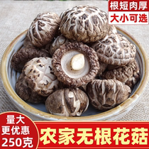 No Roots Flower Mushrooms Dry Goods 250 gr Houses County Small Flower Mushrooms Farmers Winter Mushrooms Mushrooms Edible Mushrooms to produce non-linden mushrooms