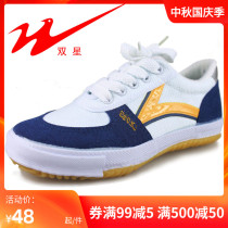 Double Star Canvas Table Tennis Shoes Cow Tons Classic Canvas Table Tennis Training Shoes L00-703S