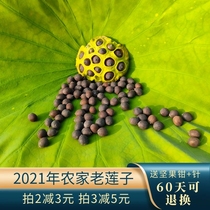  Jingzhou newly produced shelled old lotus seeds iron lotus seeds showered rice dry goods net weight 500g ready-to-eat made of Buddha beads germination