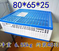 Letter racing pigeon supplies equipment pigeon cage plastic release cage training cage report cage pigeon cage training pigeon cage