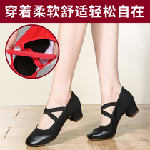 2021 New Square dance womens shoes soft bottom cloth shoes with Four Seasons dancing shoes womens red dance shoes adult dance womens shoes