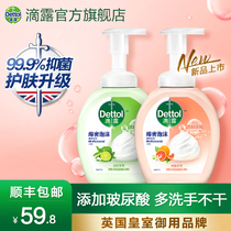 Dipped hyaluronic acid foam hand sanitizer 250ml * 2 children bubble home antibacterial grapefruit lime fragrance