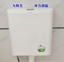 Toilet Jiu Muwang squatting toilet energy-saving water tank toilet potty flush water tank new material environmental protection energy-saving pumping water tank
