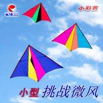 Feiyue small light body small color Yan kite small light body kite breeze King Kite silicone umbrella PA31N carbon adult