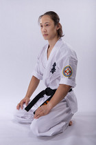 Kyokushin Karate ordinary version of the dojo (branch only)